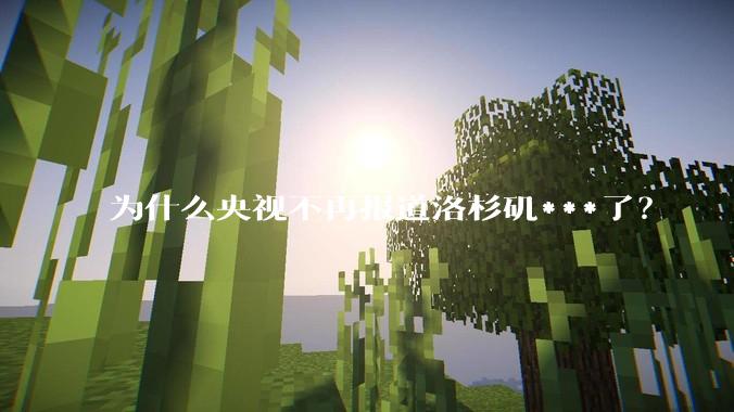 为什么央视不再报道洛杉矶***了？