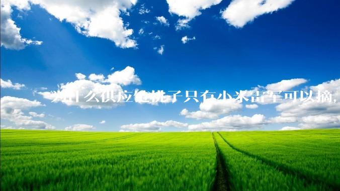 为什么供应链桃子只有小米雷军可以摘，其他人只能干瞪眼？