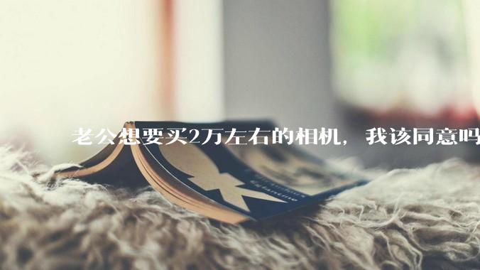老公想要买2万左右的相机，我该同意吗？