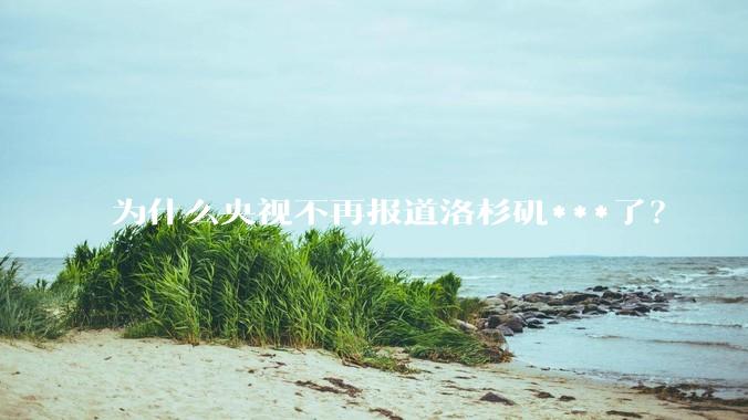 为什么央视不再报道洛杉矶***了？