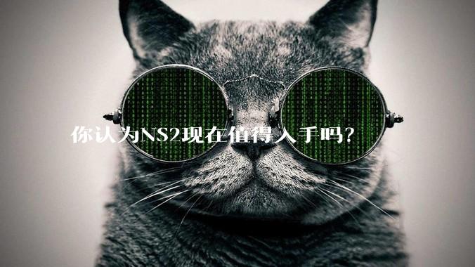 你认为NS2现在值得入手吗？