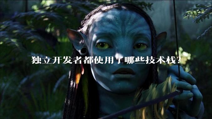 独立开发者都使用了哪些技术栈？