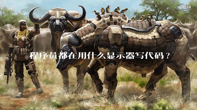 程序员都在用什么显示器写代码?