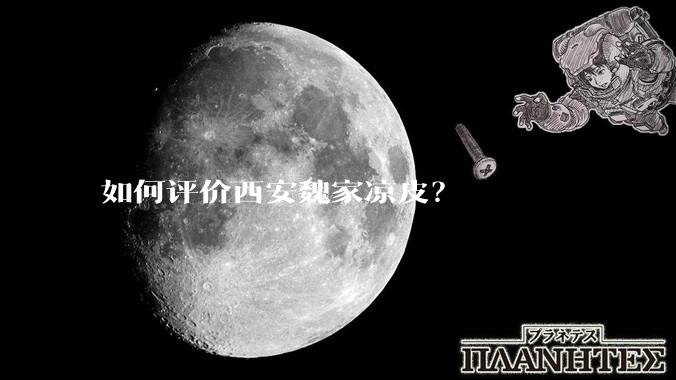 如何评价西安魏家凉皮？