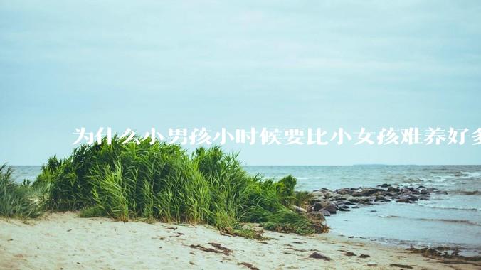 为什么小男孩小时候要比小女孩难养好多?