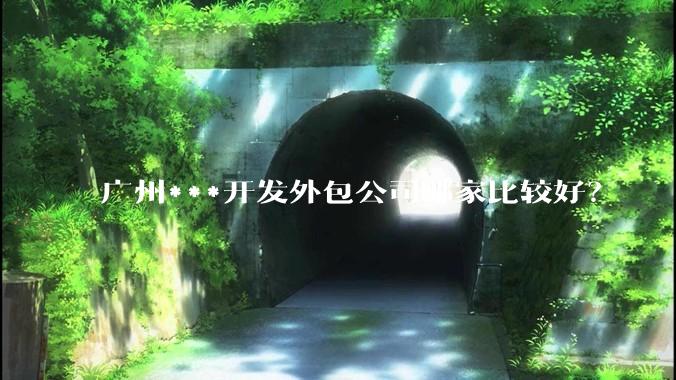 广州***开发外包公司哪家比较好？