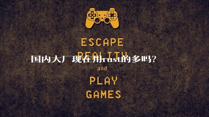 国内大厂现在用rust的多吗？