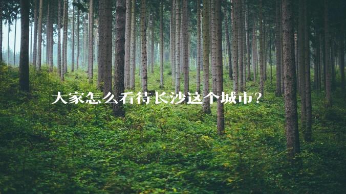 大家怎么看待长沙这个城市？