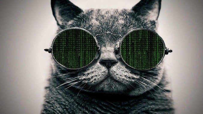 为什么中国很少有人使用linux？